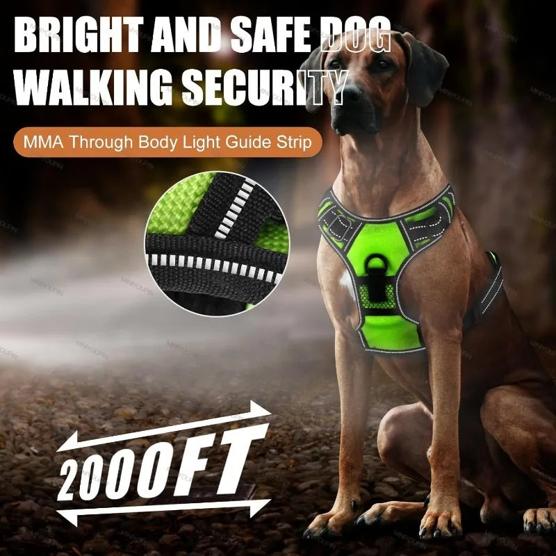 LED Luminous Dog Harness